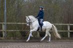 **Wij hebben weer plek voor training/-verkooppaarden**, Dieren en Toebehoren, Paarden, B, Dressuurpaard, 7 tot 10 jaar, Meerdere dieren