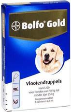 Bolfo Gold Hond 250 - 2 pipetten | 10 - 25KG, Nieuw, Ophalen of Verzenden