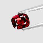 Zonder Minimumprijs - 1 pcs Paars, Rood Spinel - 1.47 ct -, Sieraden, Tassen en Uiterlijk, Edelstenen, Nieuw