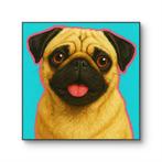 Tomas - Pug-tastic