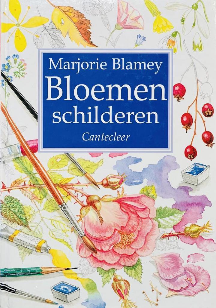 BLOEMEN SCHILDEREN 9789021328218 M. Blamey, Boeken, Hobby en Vrije tijd, Gelezen, Verzenden