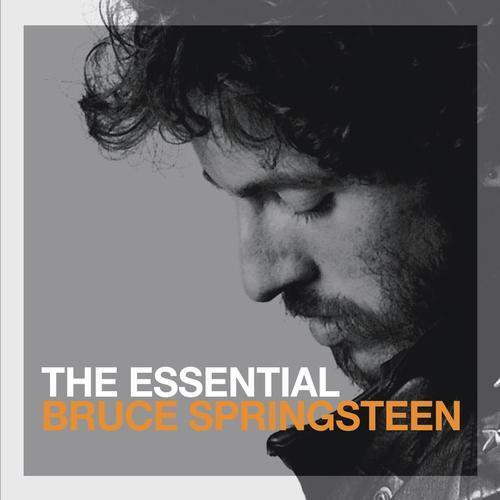 cd - Bruce Springsteen - The Essential Bruce Springsteen, Cd's en Dvd's, Cd's | Rock, Zo goed als nieuw, Verzenden