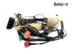 Kabelboom Honda FES 125 Pantheon 1998-2002 (FES125), Motoren, Verzenden, Gebruikt