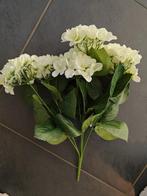 Hortensia groot - hydrangea bush wit 54 cm super flowerwall, Ophalen of Verzenden, Nieuw