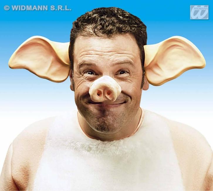 Neus varken, Kleding | Dames, Carnavalskleding en Feestkleding, Nieuw, Ophalen of Verzenden