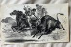 Lemercier (Lith.): Chasse aux Bison au lAmerique du Nord -, Antiek en Kunst