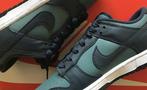 Nike - Dunk Low - Low-top sneakers - Maat: EU 42 - Nieuw met, Kleding | Heren, Schoenen, Nieuw