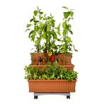 Bama Orto Di Kit Plantenbakken 80x74x73 cm Terracotta, Verzenden, Nieuw