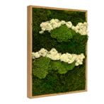 Vintlux Mosschilderij Lappenmos-Rendiermos-Bolmos Eikenhout, Nieuw