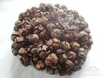 Cypressus naturel 1 kilo, Ophalen of Verzenden, Nieuw