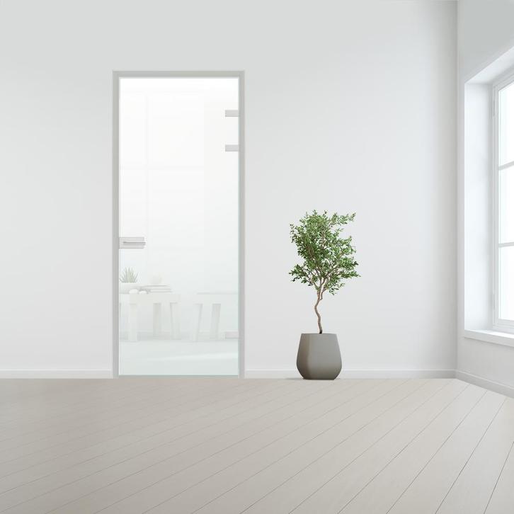 Glazen deur met kozijnsysteem - Aluminium beslag-Rechtsdraai, Doe-het-zelf en Verbouw, Glas en Ramen, Nieuw, Ophalen of Verzenden