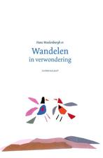 Wandelen in verwondering 9789047707691 Hans Moolenburgh Sr., Boeken, Verzenden, Zo goed als nieuw, Hans Moolenburgh Sr.