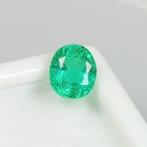 Groen Smaragd - 2.10 ct - International Gemological, Sieraden, Tassen en Uiterlijk, Edelstenen, Nieuw
