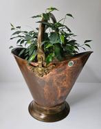 Oravo - Kolen emmer - Bloempot - Koper, Antiek en Kunst, Curiosa en Brocante