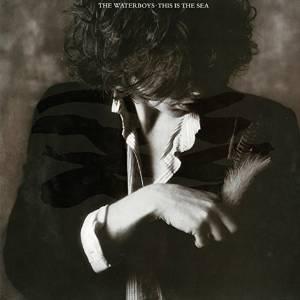 lp nieuw - The Waterboys - This Is The Sea, Cd's en Dvd's, Vinyl | Pop, Zo goed als nieuw, Verzenden