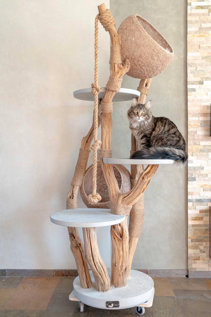 Klimboom Krabpaal S-XL Eikenhout cement met manden grote kat, Dieren en Toebehoren, Krabmeubelen, Krabpaal, Nieuw, Ophalen of Verzenden