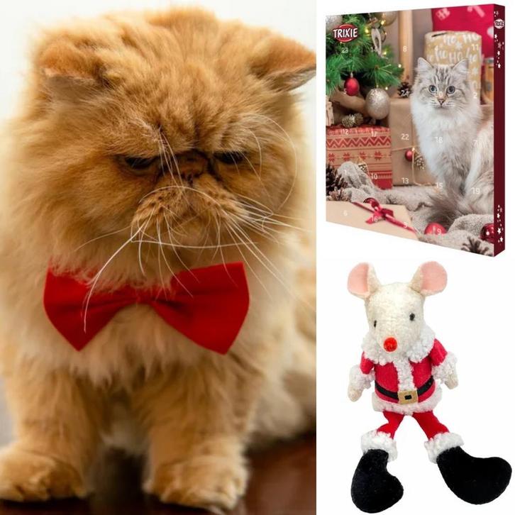 Katten kerstpakket met dasstrik, advents kalender en knuffel, Dieren en Toebehoren, Katten-accessoires, Nieuw, Verzenden