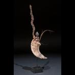 Hoornfetisj - Voodoo Vodun - Fon - Benin, Antiek en Kunst