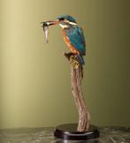 IJsvogel Taxidermie Opgezette Dieren By Max, Ophalen of Verzenden, Nieuw, Vogel, Opgezet dier