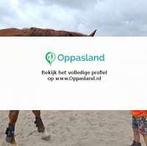 Natalie zoekt een oppas in Wilbertoord voor 2 kinderen.