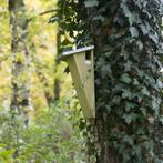 Vogelhuis boomkruiper - Nestkast - Tuindieren, Verzenden, Nieuw