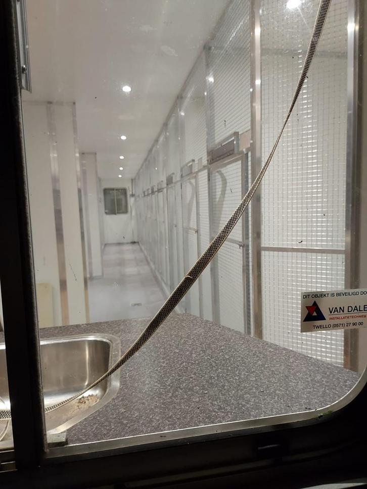 Professionele gesloten vogelhouderij – complete inrichting, Dieren en Toebehoren, Vogels | Hokken en Kooien, Zo goed als nieuw