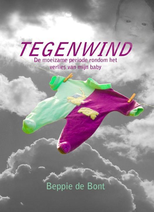 Tegenwind 9789082024302 Beppie de Bont, Boeken, Politiek en Maatschappij, Gelezen, Verzenden