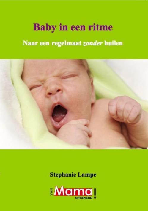 Baby in een ritme 9789490023010 Stephanie Lampe, Boeken, Zwangerschap en Opvoeding, Gelezen, Verzenden