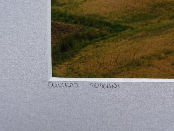 Oliviero Toscani (1942-) - L´Allure Val D´Orcia, Antiek en Kunst, Kunst | Designobjecten
