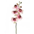 Kunst Phalaenopsis Orchidee Bora 58 cm - Roze - Nova Nature, Nieuw, Verzenden