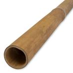 Apus bamboepaal 5-7 200 cm, Tuin en Terras, Verzenden, Nieuw