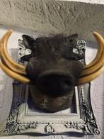 Wrattenzwijn Taxidermie hoofdmontage - Facocero - 50 cm - 40, Verzamelen, Nieuw