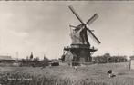 HASSELT - Molen bij Hasselt, Verzamelen, Ansichtkaarten | Nederland, Verzenden, Gelopen