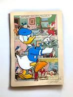 Alan Stefanov (1999) - Donald Duck, Counting the Fortune -