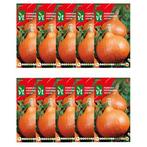 Pompoenzaad | VT | 10 stuks (Hokkaido), Tuin en Terras, Verzenden