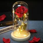 Kunst Roos in Glazen Stolp met Verlichting - Zijden Rozen, Verzenden, Nieuw