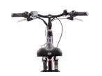F.lli Schiano E-Ride - E Bike Trekking 28 Zoll - 36V 10.4Ah, Verzenden, Nieuw