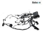 Kabelboom BMW R 1200 CL 2002-2005 (R1200CL) (7670541), Verzenden, Gebruikt