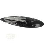 Orthoceras Fossiel geslepen Nr 19 - 111 gram, Verzenden, Nieuw