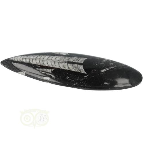 Orthoceras Fossiel geslepen Nr 19 - 111 gram, Sieraden, Tassen en Uiterlijk, Edelstenen, Nieuw, Verzenden