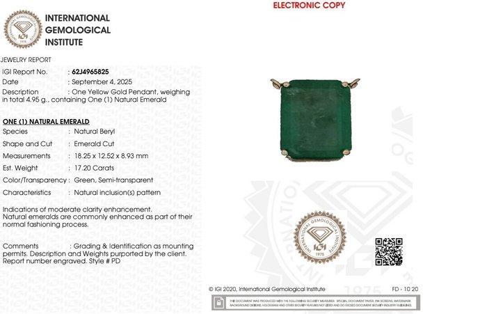 Ketting met hanger - 14 karaat Geel goud - 17.20ct. tw., Sieraden, Tassen en Uiterlijk, Antieke sieraden