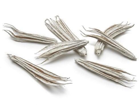 Okra Frosted ca. 10 cm zak 50 stuks, Huis en Inrichting, Woonaccessoires | Kunstplanten en Kunstbloemen, Nieuw, Ophalen of Verzenden