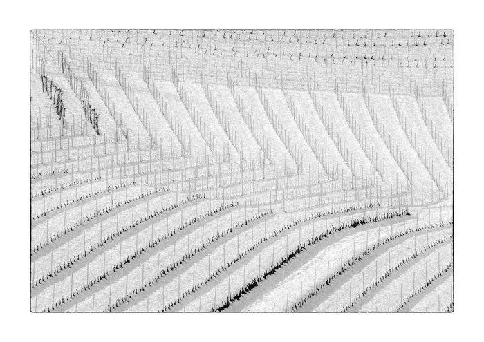 Franco Turcati - Langhe Inverno (521), Antiek en Kunst, Kunst | Designobjecten