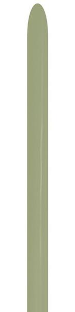 Modelleerballonnen Eucalyptus 2,5cm 152cm 50st, Verzenden, Nieuw