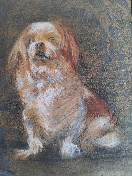 Henriette Ronner-Knip (1821-1909) - Portrait dun pékinois., Antiek en Kunst, Kunst | Schilderijen | Klassiek