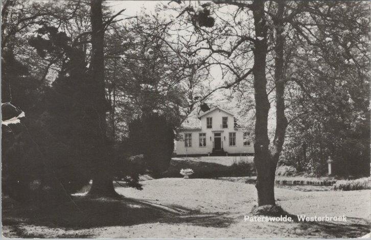 PATERSWOLDE - Westerbroek, Verzamelen, Ansichtkaarten | Nederland, Verzenden