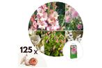 Zomer bloembollen Roze - mix van 125 bollen, Huis en Inrichting, Kamerplanten, Verzenden