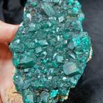 dioptase Drusa - Hoogte: 7.5 cm - Breedte: 6 cm- 281 g - (1), Verzamelen