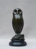 sculptuur, Young owl - 2,2 kg - 25 cm - Gepatineerd brons, Antiek en Kunst