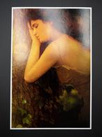 Viet Ha Tran - Renaissance lady
